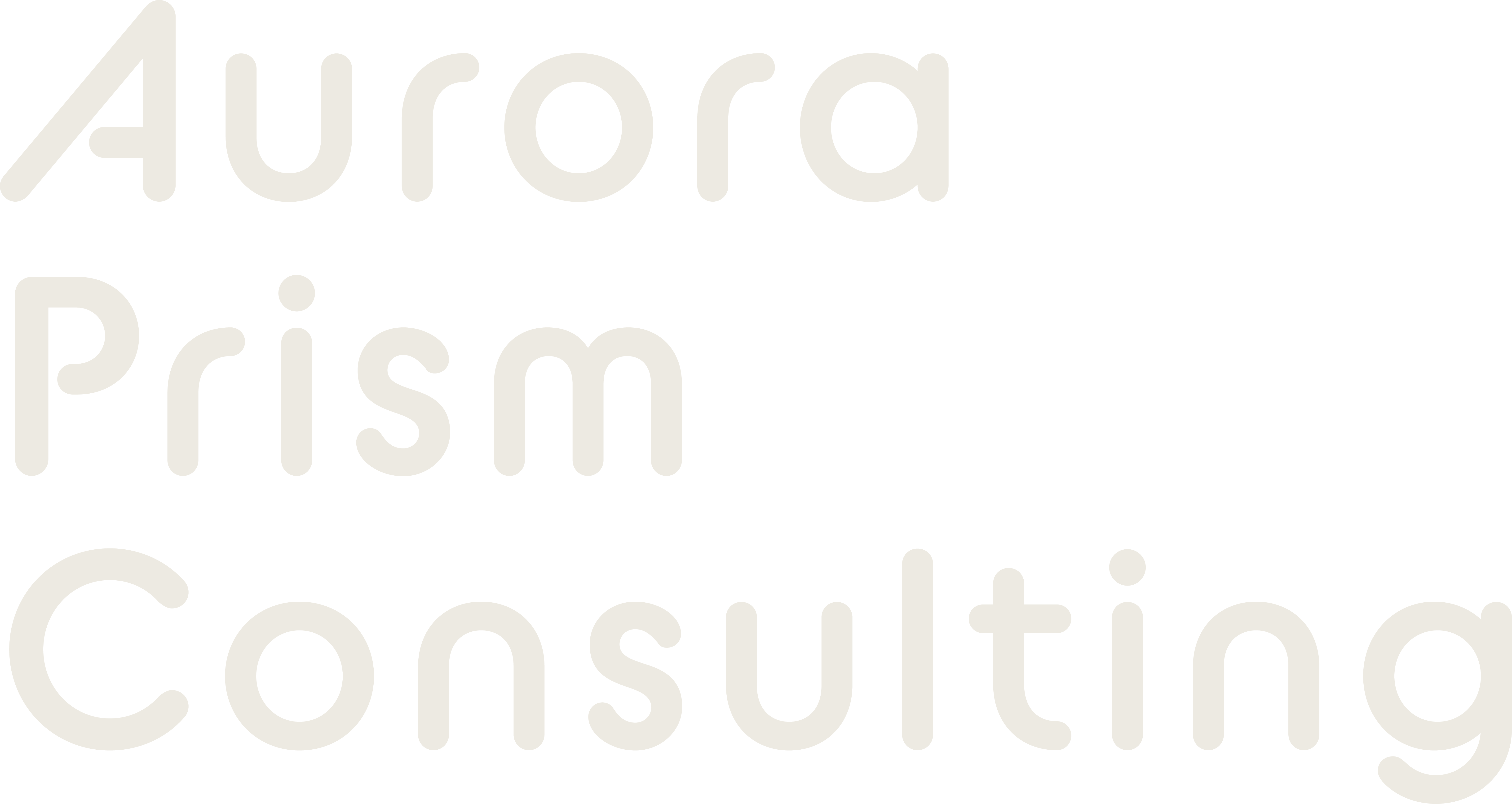 Aurora Prism Consulting